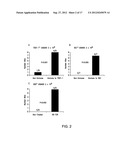 Treatment of Diseases Caused by Bacterial Exotoxins diagram and image