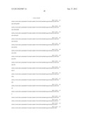 NOVEL TISSUE PROTECTIVE ERYTHROPOIETIN RECEPTOR (NEPOR) AND METHODS OF USE diagram and image