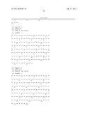 NOVEL TISSUE PROTECTIVE ERYTHROPOIETIN RECEPTOR (NEPOR) AND METHODS OF USE diagram and image