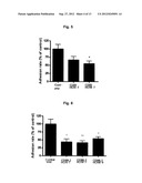 POLYPEPTIDE OR FUSED PROTEIN THEREOF INHIBITING THE EXTRAVASATION OF WHITE     BLOOD CELLS OR THE GROWTH AND/OR METASTASIS OF CANCER CELLS diagram and image