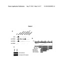 POLYPEPTIDES HAVING MODULATORY EFFECTS ON CELLS diagram and image