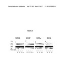 POLYPEPTIDES HAVING MODULATORY EFFECTS ON CELLS diagram and image