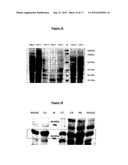 POLYPEPTIDES HAVING MODULATORY EFFECTS ON CELLS diagram and image