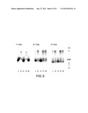 SYNTHETIC APOLIPOPROTEIN E MIMICKING POLYPEPTIDES AND METHODS OF USE diagram and image