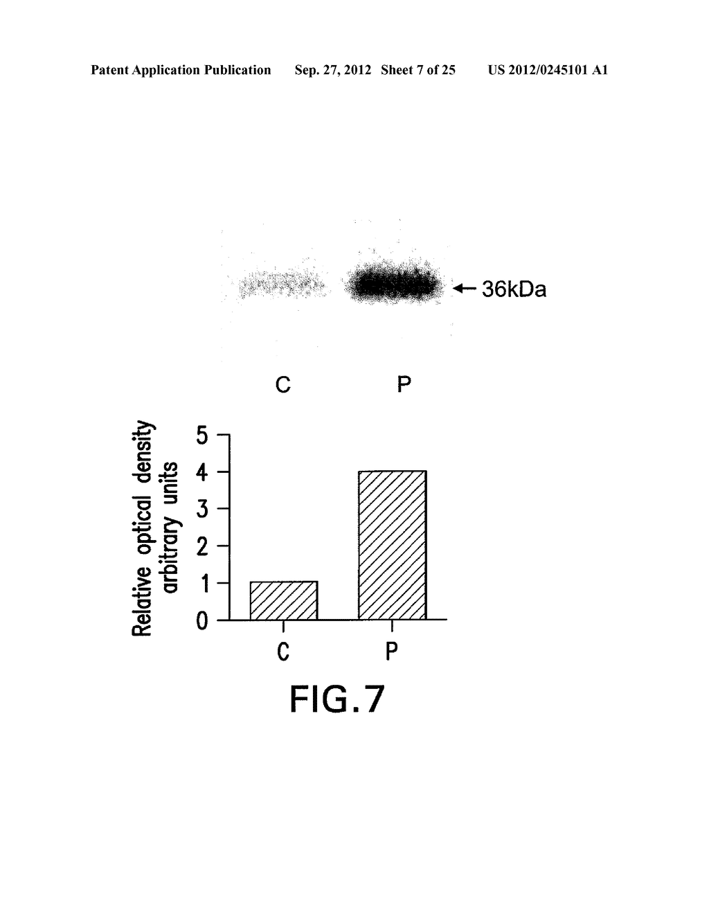 SYNTHETIC APOLIPOPROTEIN E MIMICKING POLYPEPTIDES AND METHODS OF USE - diagram, schematic, and image 08