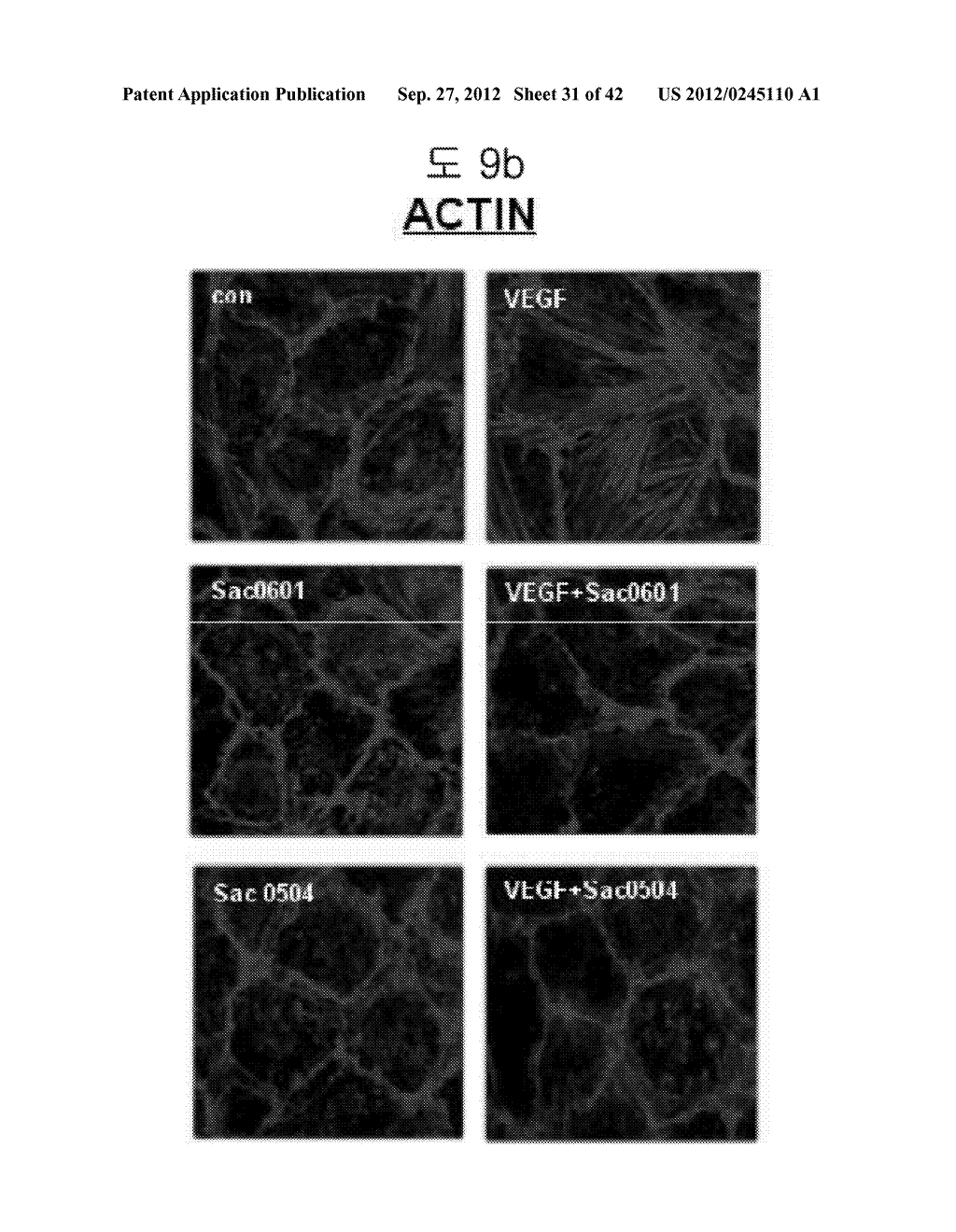 VASCULAR LEAKAGE INHIBITOR - diagram, schematic, and image 32