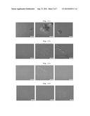 FLAVANONES-CONTAINING FOOD COMPOSITIONS diagram and image