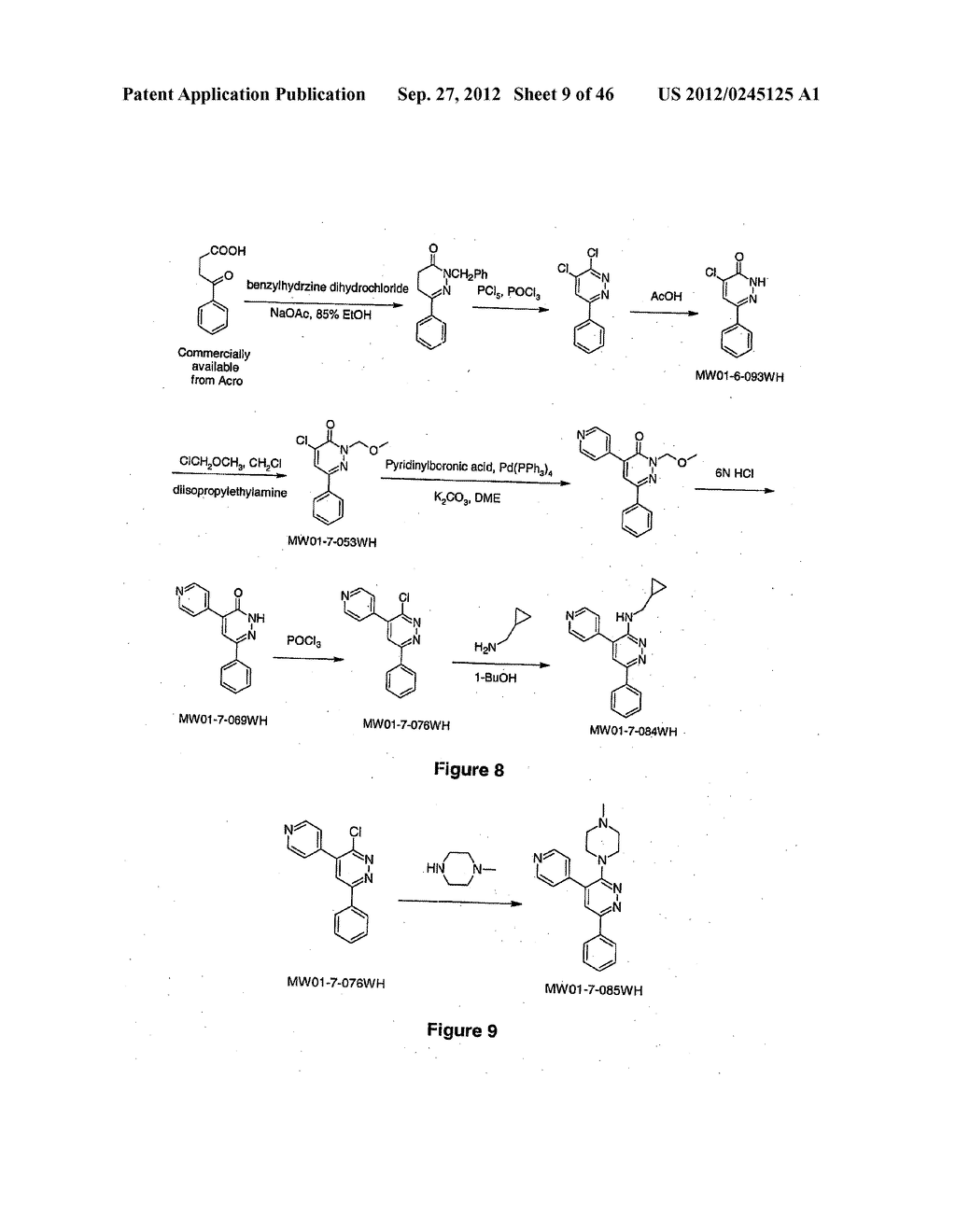 PYRIDAZINE COMPOUNDS, COMPOSITIONS AND METHODS - diagram, schematic, and image 10