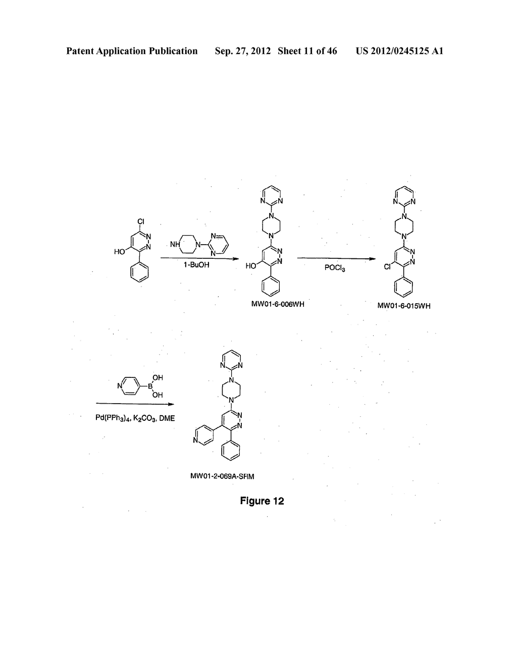 PYRIDAZINE COMPOUNDS, COMPOSITIONS AND METHODS - diagram, schematic, and image 12