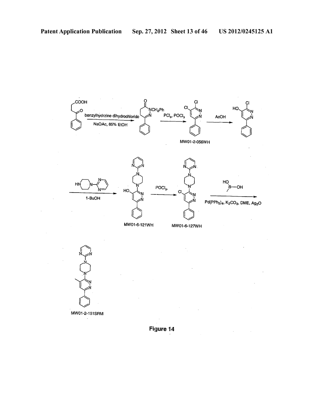 PYRIDAZINE COMPOUNDS, COMPOSITIONS AND METHODS - diagram, schematic, and image 14
