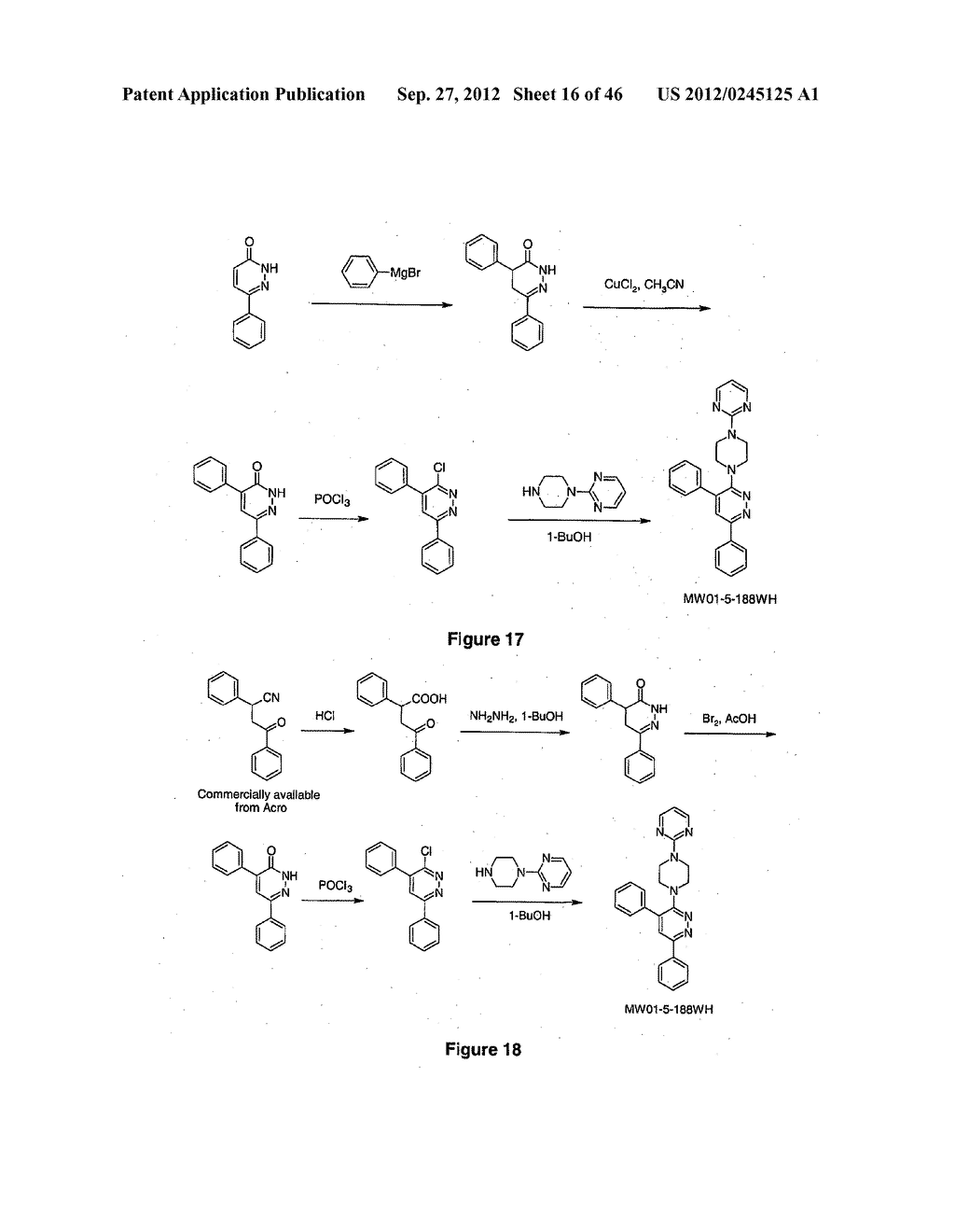 PYRIDAZINE COMPOUNDS, COMPOSITIONS AND METHODS - diagram, schematic, and image 17