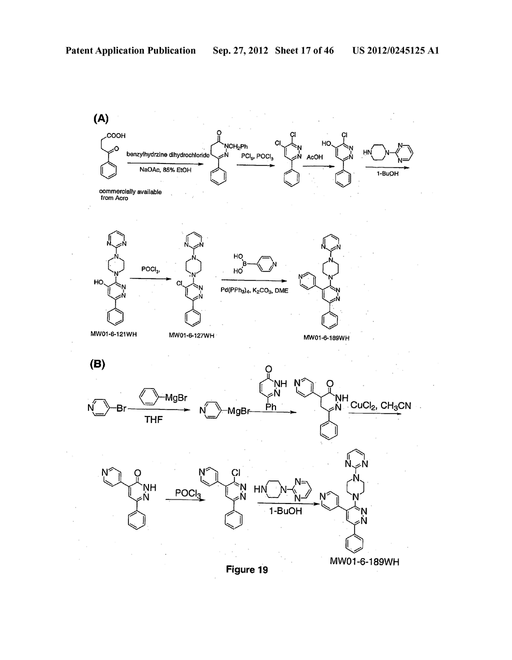 PYRIDAZINE COMPOUNDS, COMPOSITIONS AND METHODS - diagram, schematic, and image 18