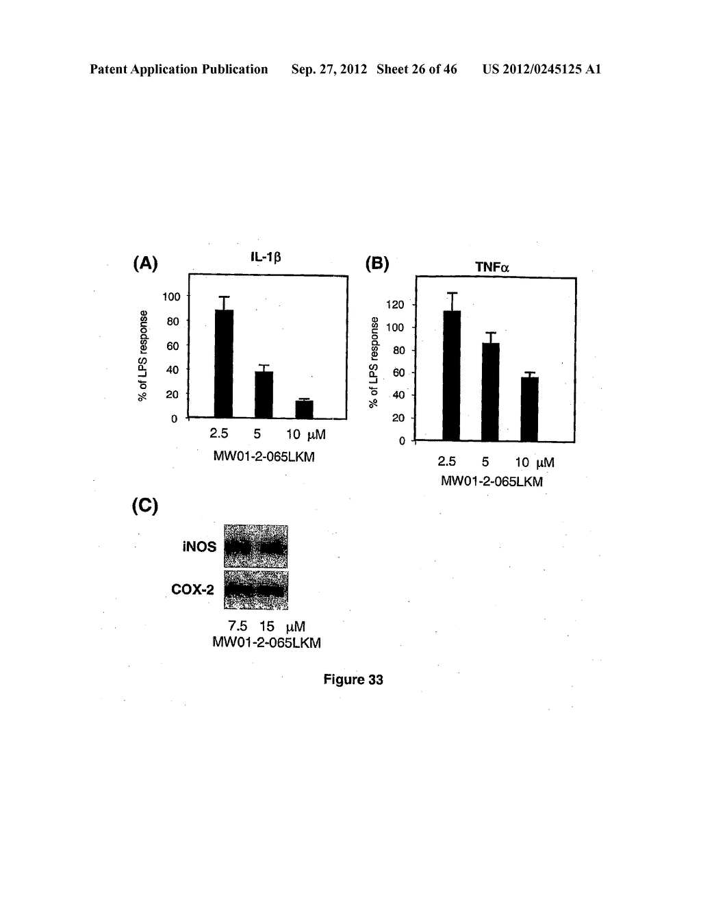 PYRIDAZINE COMPOUNDS, COMPOSITIONS AND METHODS - diagram, schematic, and image 27