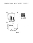 PYRIDAZINE COMPOUNDS, COMPOSITIONS AND METHODS diagram and image