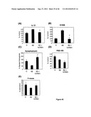 PYRIDAZINE COMPOUNDS, COMPOSITIONS AND METHODS diagram and image