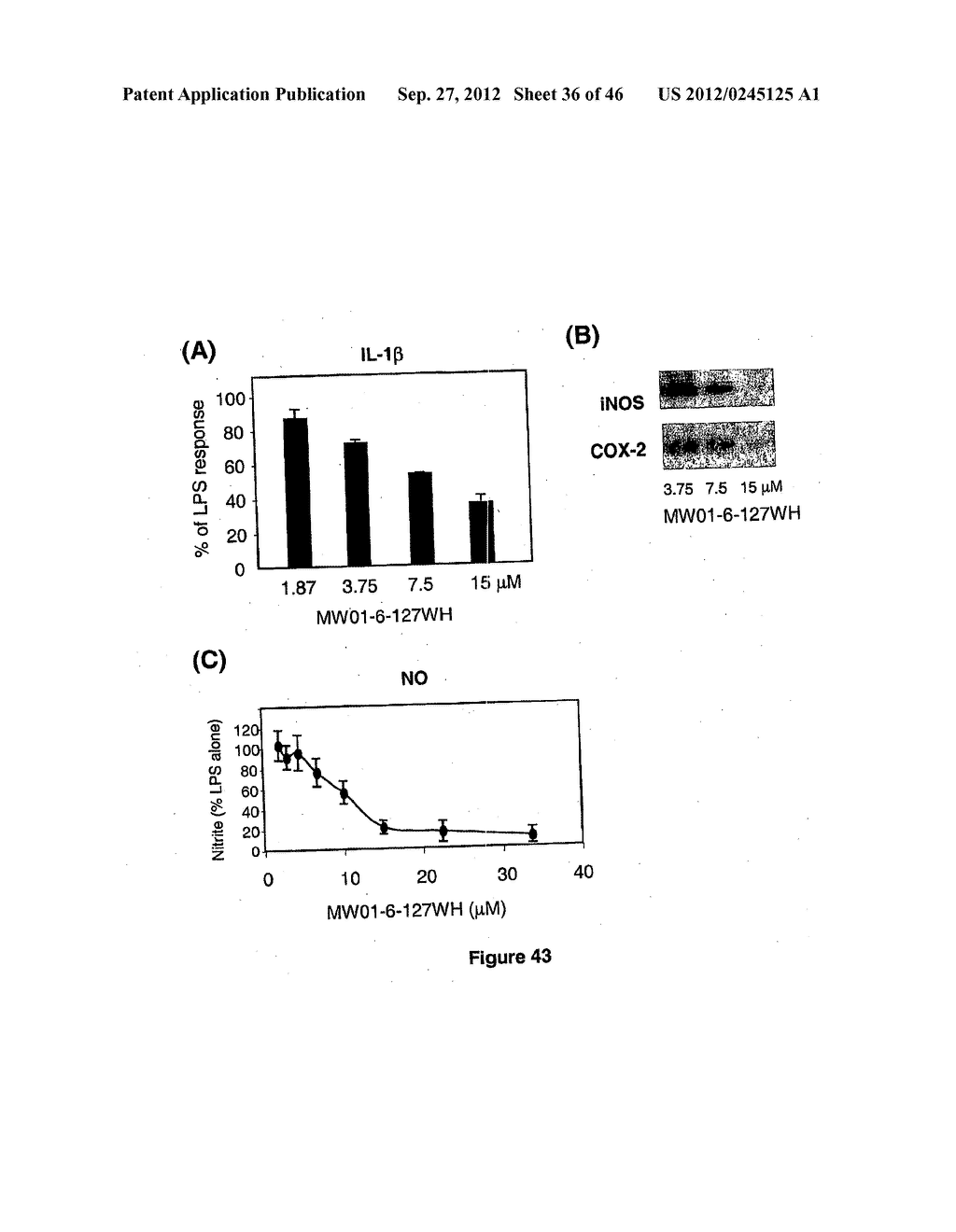 PYRIDAZINE COMPOUNDS, COMPOSITIONS AND METHODS - diagram, schematic, and image 37