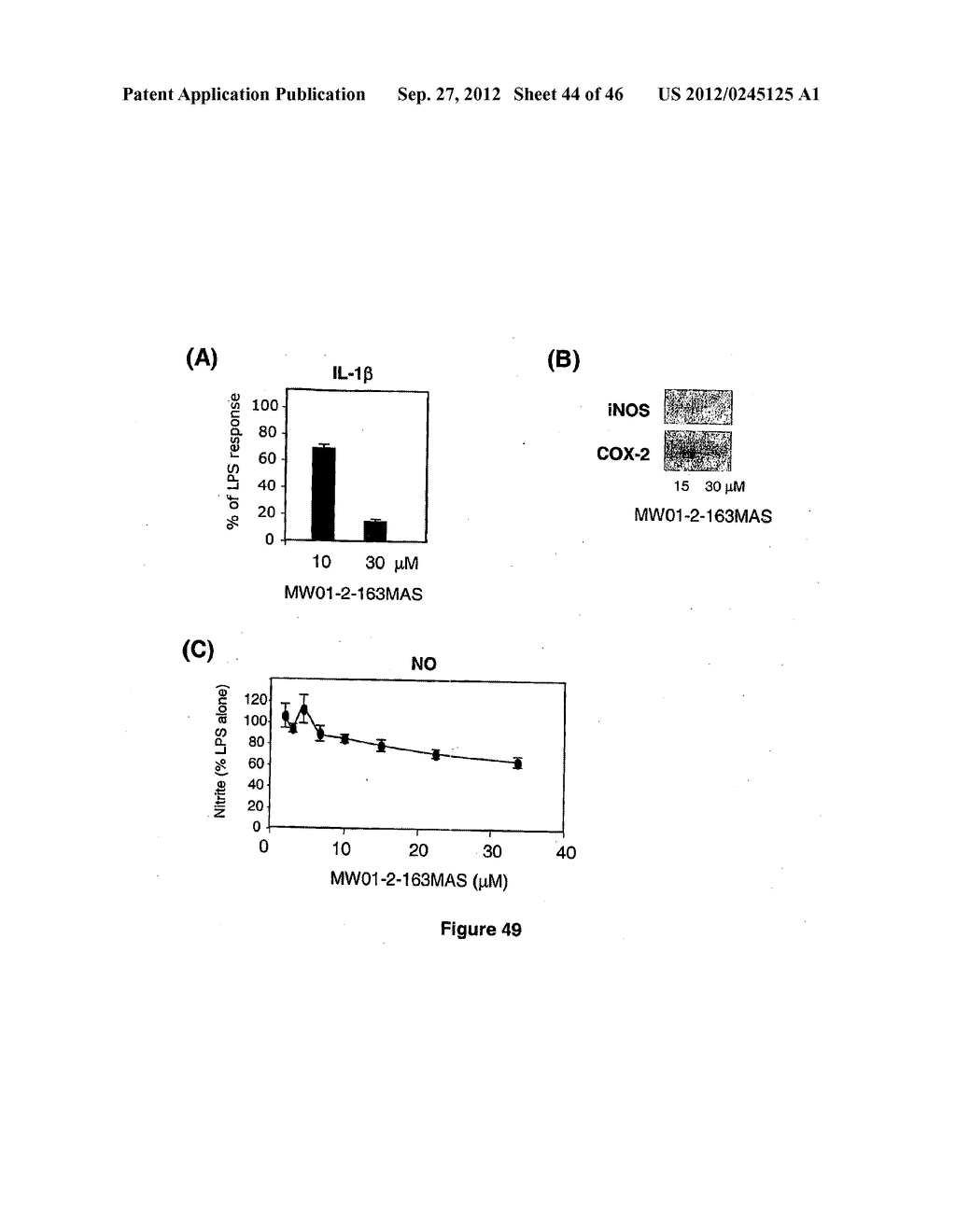 PYRIDAZINE COMPOUNDS, COMPOSITIONS AND METHODS - diagram, schematic, and image 45