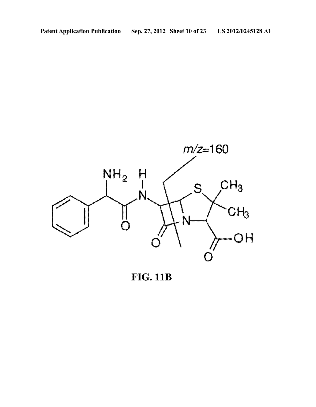 RAPID DETECTION AND QUANTIFICATION OF MODIFICATION OF MEDICINAL COMPOUNDS     AND DRUG RESISTANCE ACTIVITY - diagram, schematic, and image 11