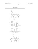 Methods of Using Substituted Tetracycline Compounds to Modulate RNA diagram and image