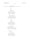 Methods of Using Substituted Tetracycline Compounds to Modulate RNA diagram and image