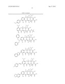 Methods of Using Substituted Tetracycline Compounds to Modulate RNA diagram and image