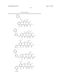 Methods of Using Substituted Tetracycline Compounds to Modulate RNA diagram and image