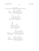 Methods of Using Substituted Tetracycline Compounds to Modulate RNA diagram and image