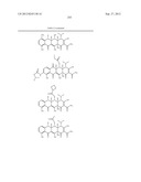 Methods of Using Substituted Tetracycline Compounds to Modulate RNA diagram and image