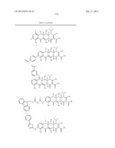 Methods of Using Substituted Tetracycline Compounds to Modulate RNA diagram and image