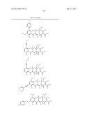 Methods of Using Substituted Tetracycline Compounds to Modulate RNA diagram and image