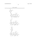 Methods of Using Substituted Tetracycline Compounds to Modulate RNA diagram and image