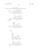 Methods of Using Substituted Tetracycline Compounds to Modulate RNA diagram and image