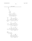 Methods of Using Substituted Tetracycline Compounds to Modulate RNA diagram and image