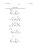 Methods of Using Substituted Tetracycline Compounds to Modulate RNA diagram and image