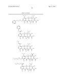 Methods of Using Substituted Tetracycline Compounds to Modulate RNA diagram and image