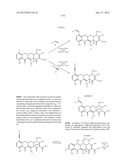 Methods of Using Substituted Tetracycline Compounds to Modulate RNA diagram and image