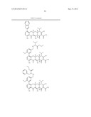 Methods of Using Substituted Tetracycline Compounds to Modulate RNA diagram and image