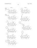 Methods of Using Substituted Tetracycline Compounds to Modulate RNA diagram and image