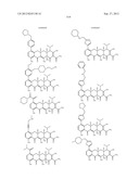 Methods of Using Substituted Tetracycline Compounds to Modulate RNA diagram and image