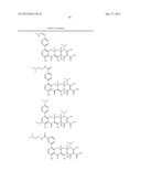 Methods of Using Substituted Tetracycline Compounds to Modulate RNA diagram and image