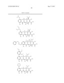 Methods of Using Substituted Tetracycline Compounds to Modulate RNA diagram and image