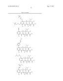 Methods of Using Substituted Tetracycline Compounds to Modulate RNA diagram and image