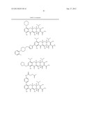 Methods of Using Substituted Tetracycline Compounds to Modulate RNA diagram and image