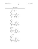 Methods of Using Substituted Tetracycline Compounds to Modulate RNA diagram and image