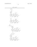 Methods of Using Substituted Tetracycline Compounds to Modulate RNA diagram and image