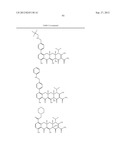 Methods of Using Substituted Tetracycline Compounds to Modulate RNA diagram and image