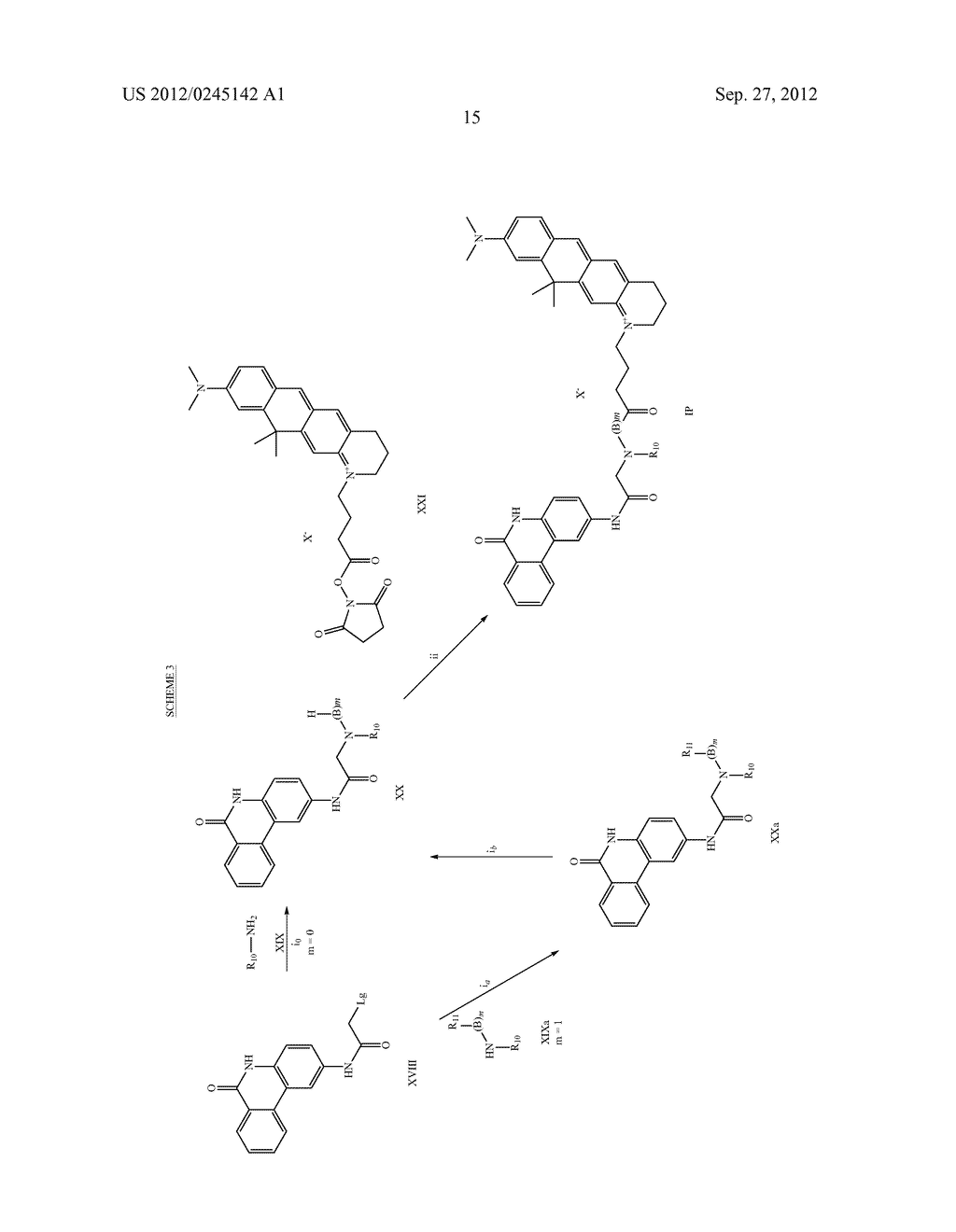 3-OXO-2,3-DIHYDRO-1H-ISOINDOLE-4-CARBOXAMIDES AS PARP INHIBITORS - diagram, schematic, and image 16
