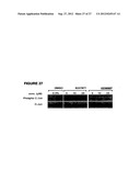 INHIBITORS OF THAPSIGARGIN-INDUCED CELL DEATH diagram and image