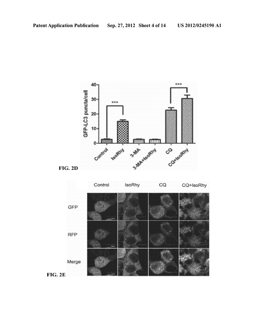 AUTOPHAGY INDUCING COMPOUND AND THE USES THEREOF - diagram, schematic, and image 06