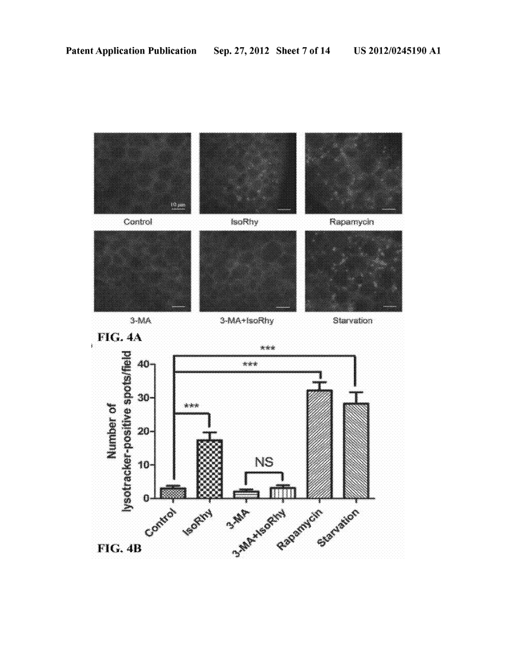 AUTOPHAGY INDUCING COMPOUND AND THE USES THEREOF - diagram, schematic, and image 09